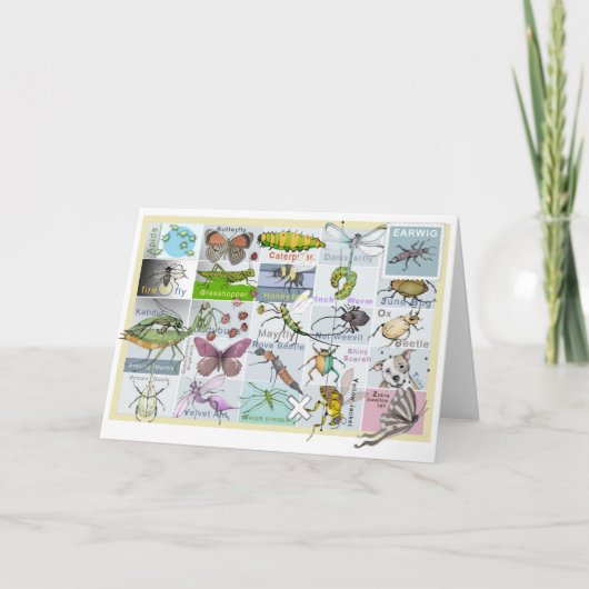 昆虫アルファベット カード (正面)