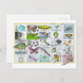 昆虫アルファベット ポストカード (正面/裏面)