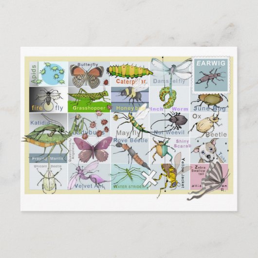 昆虫アルファベット ポストカード (正面)