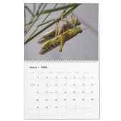 昆虫マクロ2024 Kalender カレンダー (3月 2026)