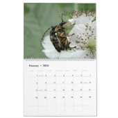 昆虫マクロ2024 Kalender カレンダー (2月 2026)