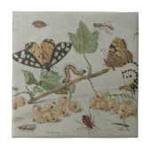 昆虫及びフルーツ タイル (正面)