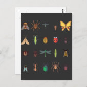 昆虫収集スケッチかわいい昆虫学 ポストカード (正面/裏面)