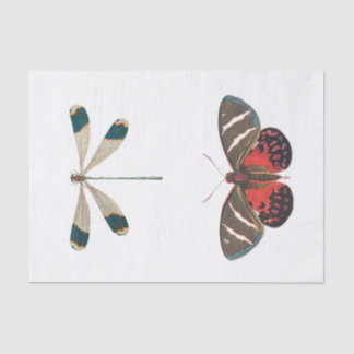 昆虫園の分離 薄葉紙