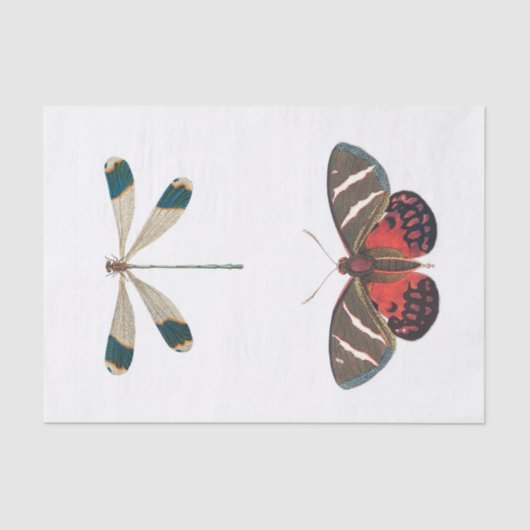 昆虫園の分離 薄葉紙 (正面)