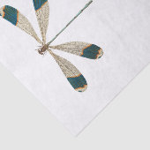 昆虫園の分離 薄葉紙 (詳細)