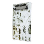 昆虫学の昆虫 ミニクリップボード (アングル2)