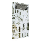 昆虫学の昆虫 ミニクリップボード (アングル)