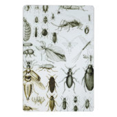 昆虫学の昆虫 ミニクリップボード (裏面)