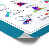 昆虫学校教育学の ポスター (角)