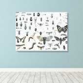 昆虫学 キャンバスプリント (インサイチュ (ウッドフロア))