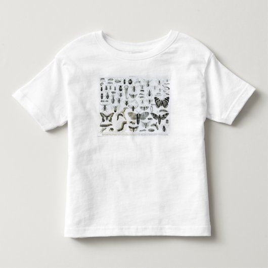 昆虫学 トドラーTシャツ (正面)