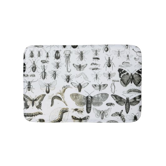 昆虫学 バスマット (正面)