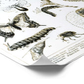 昆虫学 ポスター (角)