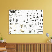 昆虫学、ミリアポダ、アラチニダ キャンバスプリント (インサイチュ (リビング))