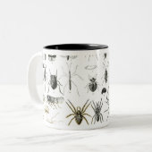 昆虫学、多足類および蜘蛛形綱 ツートーンマグカップ (正面左)