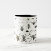 昆虫学、多足類および蜘蛛形綱 ツートーンマグカップ (中央)