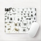 昆虫学、多足類および蜘蛛形綱 マウスパッド (マウス)