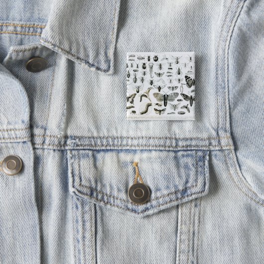 昆虫学 缶バッジ (インサイチュ)