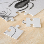 昆虫学 – Arachnides, Myriapoda ジグソーパズル (側面)