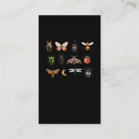 昆虫採集ハエチョウバチ 名刺 (正面)