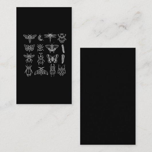 昆虫昆虫おもしろい昆虫学 名刺 (正面/裏面)
