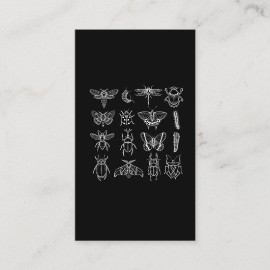 昆虫昆虫おもしろい昆虫学 名刺 (正面)