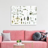 昆虫昆虫学 キャンバスプリント (インサイチュ (リビング))