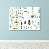 昆虫昆虫学 キャンバスプリント (インサイチュ (ウッドフロア))