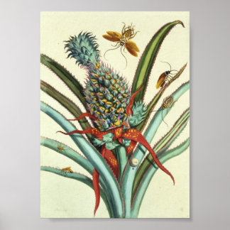 昆虫生成プレート1 ポスター