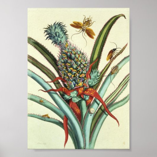 昆虫生成プレート1 ポスター (正面)