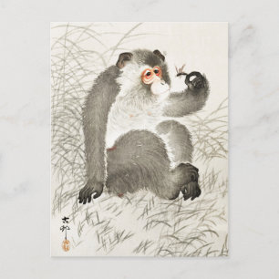 昆虫絵画猿の小原小村 ポストカード