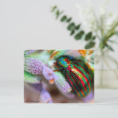 昆虫自然 ポストカード (スタンド正面)