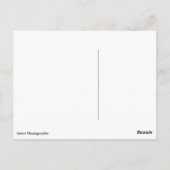 昆虫自然 ポストカード (裏面)