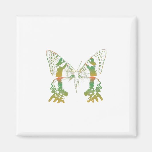 昆虫蛾グリーンオレンジ マグネット (正面)