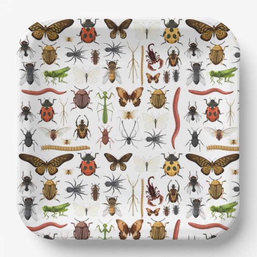 昆虫誕生日 ペーパープレート (正面)