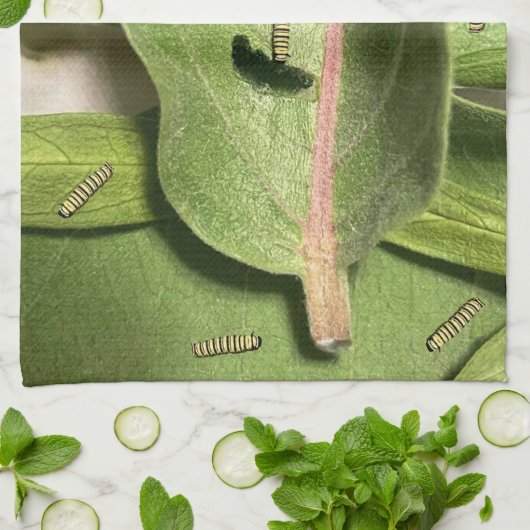 （昆虫）オオカバマダラ、モナークおもしろいバタフライキャタピラ キッチンタオル (折り畳み)