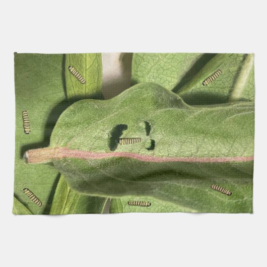 （昆虫）オオカバマダラ、モナークおもしろいバタフライキャタピラ キッチンタオル (横)
