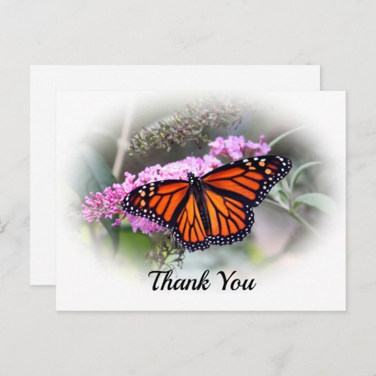 （昆虫）オオカバマダラ、モナークかわいらしバタフライフォトサンキューハガキ ポストカード (正面/裏面)