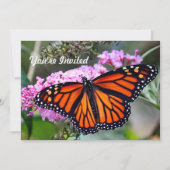 （昆虫）オオカバマダラ、モナークかわいらしバタフライフォト誕生日 招待状 (正面)