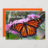 （昆虫）オオカバマダラ、モナークかわいらしバタフライフォト誕生日 招待状 (正面/裏面)
