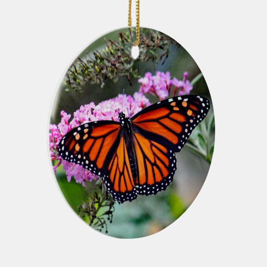 （昆虫）オオカバマダラ、モナークかわいらしバタフライ写真 セラミックオーナメント (右)