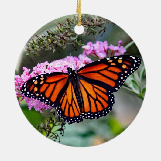 (昆虫)オオカバマダラ、モナークかわいらしバタフライ写真 セラミックオーナメント (裏面)