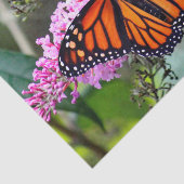 (昆虫)オオカバマダラ、モナークかわいらしバタフライ写真 薄葉紙 (詳細)