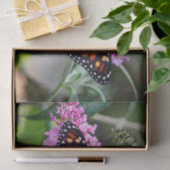 (昆虫)オオカバマダラ、モナークかわいらしバタフライ写真 薄葉紙 (ギフト)