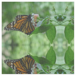 （昆虫）オオカバマダラ、モナークかわいらし蝶フローラ織物 ファブリック