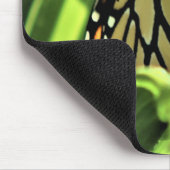 （昆虫）オオカバマダラ、モナークがガーデンに現れた マウスパッド (コーナー)