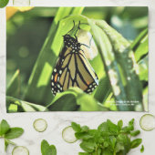 （昆虫）オオカバマダラ、モナークがガーデンに現れる キッチンタオル (折り畳み)