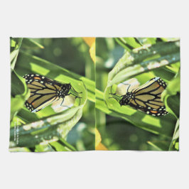 （昆虫）オオカバマダラ、モナークがガーデンに現れる キッチンタオル