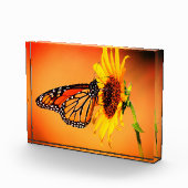 (昆虫)オオカバマダラ、モナークとヒマワリ フォトブロック (右)